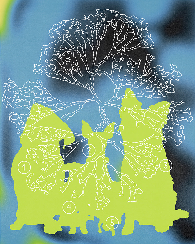 UNTITLED 2